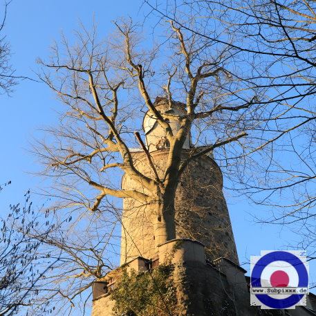 Burg Stein bei Hartenstein im Erzgebirge, Sachsen - 8. Februar 2023 (11).JPG